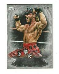 Shawn Michaels Wrestling Cards 2015 Topps WWE Undisputed Prices