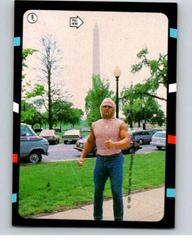 Hulk Hogan #9 Wrestling Cards 1985 O Pee Chee WWF Stickers Prices