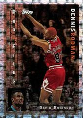 Dennis Rodman #PF-14 Basketball Cards 1996 Topps Pro Files Prices