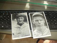 Goose Goslin Baseball Cards 1929 R315 Prices