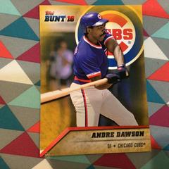 Andre Dawson [5x7 Gold] Baseball Cards 2016 Topps Bunt Prices
