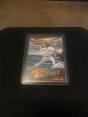 Pedro Martinez [Alizarin Crimson] Baseball Cards 2023 Topps X Bob Ross The Joy Of Painting the Corners Prices