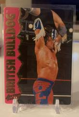 The British Bulldog #11 Wrestling Cards 1995 Action Packed WWF Prices