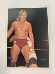 Terry Taylor #22 Wrestling Cards 1988 Wonderama NWA Prices