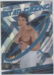 Ricky 'The Dragon' Steamboat [Cubic] #5 Wrestling Cards 2023 Panini Revolution WWE Star Gazing Prices