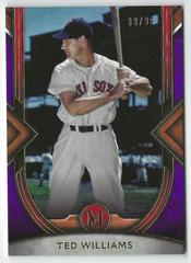 Ted Williams [Amethyst] #66 Baseball Cards 2022 Topps Museum Collection Prices