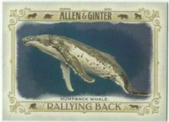 Humpback Whale Baseball Cards 2021 Topps Allen & Ginter Rallying Back Prices