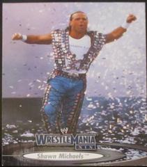 Shawn Michaels #40 Wrestling Cards 2003 Fleer WWE WrestleMania XIX Prices