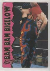 Bam Bam Bigelow Wrestling Cards 1995 Action Packed WWF Prices
