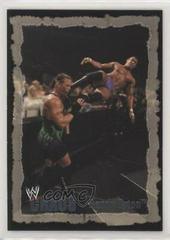 Randy Orton Wrestling Cards 2004 Fleer WWE Chaos Prices