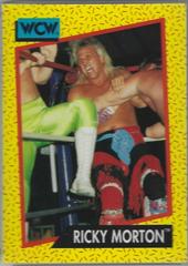 Ricky Morton Wrestling Cards 1991 Impel WCW Prices