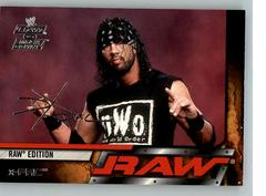X Pac Wrestling Cards 2002 Fleer WWE Raw vs Smackdown Prices