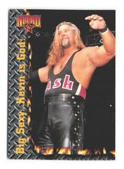 Kevin Nash Wrestling Cards 1999 Topps WCW/nWo Nitro Prices