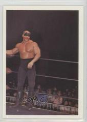 Road Warriors Wrestling Cards 1988 Wonderama NWA Prices