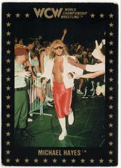 Michael Hayes Wrestling Cards 1991 Championship Marketing WCW Prices