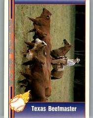 Texas Beefmaster Baseball Cards 1991 Pacific Nolan Ryan Prices