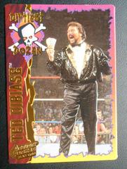 Ted Dibiase Wrestling Cards 1995 Action Packed WWF 24 Kt. Gold Prices