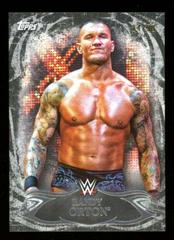 Randy Orton [Black] #24 Wrestling Cards 2015 Topps WWE Undisputed Prices
