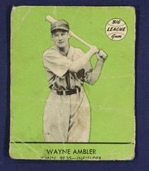 Wayne Ambler [Green Background] #7 Baseball Cards 1941 Goudey Prices