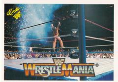 The Ultimate Warrior Wrestling Cards 1990 Classic WWF The History of Wrestlemania Prices