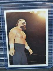 Barbarian Wrestling Cards 1988 Wonderama NWA Prices