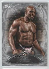 Titus O'Neil [Silver] #6 Wrestling Cards 2015 Topps WWE Undisputed Prices