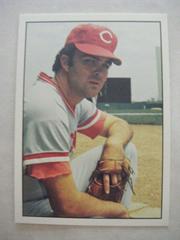 Gary Nolan #29 Baseball Cards 1975 SSPC Prices