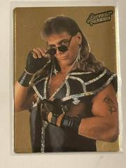 Shawn Michaels Wrestling Cards 1994 Action Packed WWF Prices