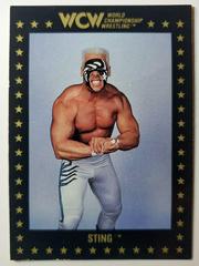 Sting Wrestling Cards 1991 Championship Marketing WCW Prices