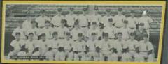 Chicago White Sox [Dated] Baseball Cards 1951 Topps Teams Prices