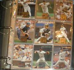 Complete Set Baseball Cards 1996 Panini Donruss Prices