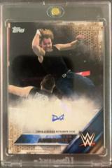 Dean Ambrose [Silver] Wrestling Cards 2016 Topps WWE Then Now Forever Autographs Prices