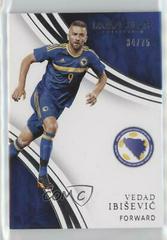 Vedad Ibisevic Soccer Cards 2017 Panini Immaculate Prices