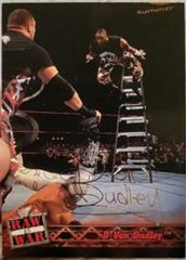 D Von Dudley Wrestling Cards 2001 Fleer WWF Raw Is War Prices