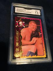 Bob Backlund Wrestling Cards 1995 Action Packed WWF 24 Kt. Gold Prices