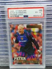 Peter Schmeichel Soccer Cards 1996 Merlin's Premier Gold Prices
