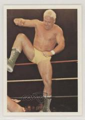 Ron Garvin Wrestling Cards 1988 Wonderama NWA Prices