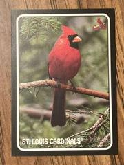 St. Louis Cardinals #75Z-4 Baseball Cards 2024 Topps Heritage Zoo’s Who Stick-On Prices