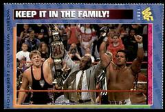 Keep It In the Family [June] #93 Wrestling Cards 1997 WWF Magazine Prices