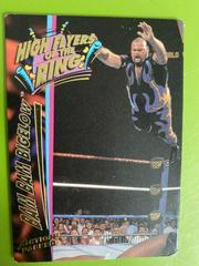 Bam Bam Bigelow Wrestling Cards 1995 Action Packed WWF Prices