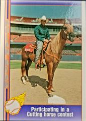 Participating in A [Cutting Horse Contest] #108 Baseball Cards 1991 Pacific Nolan Ryan Prices