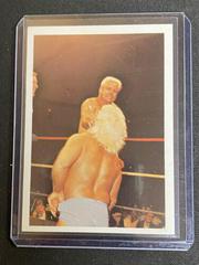 Ron Garvin vs Ric Flair Wrestling Cards 1988 Wonderama NWA Prices