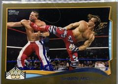 Shawn Michaels [Gold] #109 Wrestling Cards 2014 Topps WWE Prices
