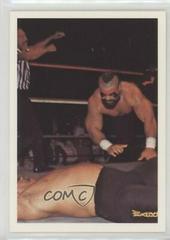 Barbarian #269 Wrestling Cards 1988 Wonderama NWA Prices