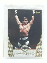 Shawn Michaels Wrestling Cards 2018 Topps Legends of WWE Prices