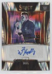 Boa [Flash Prizm] Wrestling Cards 2022 Panini Select WWE Signature Selections Prices