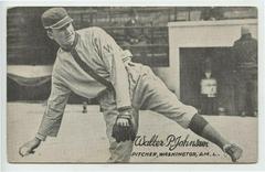 Walter P. Johnson Baseball Cards 1921 Exhibits Prices