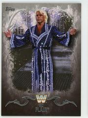 Ric Flair [Silver] #81 Wrestling Cards 2016 Topps WWE Undisputed Prices