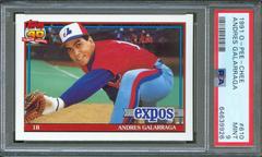 Andres Galarraga #610 Baseball Cards 1991 O Pee Chee Prices