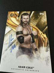 Adam Cole [Gold] #A-AC Wrestling Cards 2019 Topps WWE Undisputed Autographs Prices